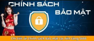 Chính Sách Bảo Mật S666
