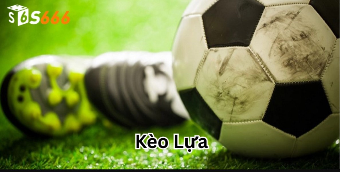Điểm qua một số loại kèo cược phổ biến trên S666